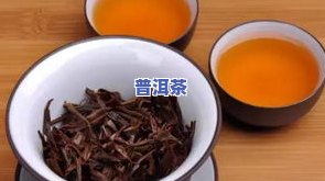 墨脱茶简介：价格、品质与厂家全解析