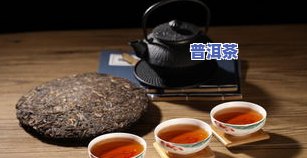 探究普洱茶工艺的独特特点：从制作到品鉴全过程解析