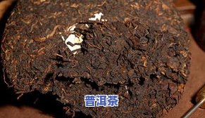 菊花普洱茶图片大全：高清、大图及百科全解