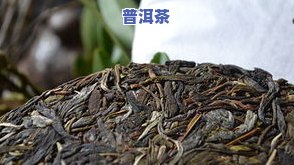 大益普洱茶饼弄碎图解：步骤、技巧与价格全解析