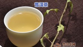 豆香味的普洱茶有哪些牌子-豆香味的普洱茶有哪些牌子好