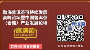 百年  系列普洱茶怎么样好吗？客户分享评测及购买建议