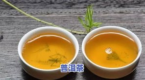 冰岛盛世普洱茶正轩茶业-冰岛正山普洱熟茶价格