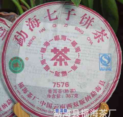 普洱大益茶茶饼价格全揭秘：最新市场行情与图片一览