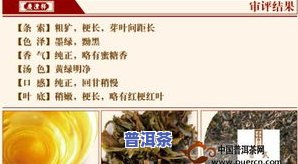 探究云南普洱茶卖点：特点、优势与三大茶区茶叶特性