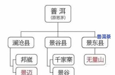 茶叶放好几年了还能喝吗？影响口感与健康的风险解析