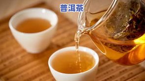 孕妇能不能喝生普洱茶水？答案在这里！