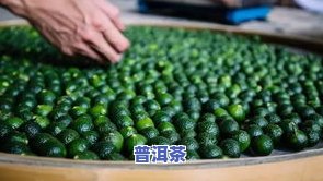 普洱茶野菊花外用脱发：治疗脱发的新方法？