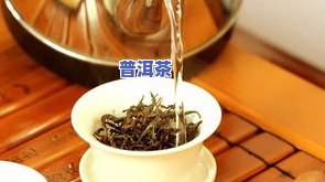 普洱茶的多个误区：揭示与解决