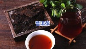 普洱茶老树茶：品种、价格及真伪辨别全攻略