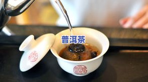 怎样用煮茶器泡普洱茶更好？详细步骤与技巧分享！