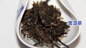 雪山普洱茶多少钱一斤？最新价格、及评测