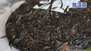 冰中岛普洱茶价格：官方旗舰店最新报价及产品介绍