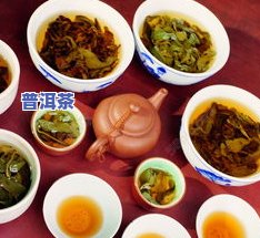 普洱茶：功效、价格、生熟比较及分类