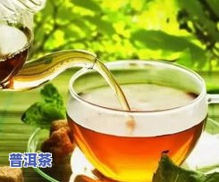 勐海茶区的普洱茶特点，探寻勐海茶区普洱茶的特别魅力