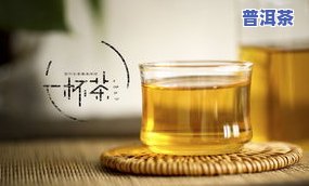 与普洱茶同样味道的饮料是什么？