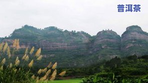 版纳地区著名普洱茶山、茶庄及山峰全览，哪个牌子更好？