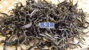 茶树王普洱茶价格多少一斤-茶树王普洱茶价格多少一斤啊