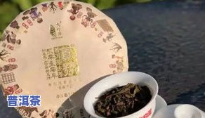 云南冰岛普洱茶是生茶还是熟茶？区别与特点解析