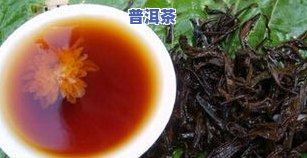 为啥普洱茶要泡菊花才能喝-为啥普洱茶要泡菊花才能喝呢