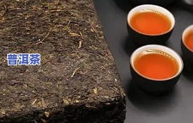 冰岛普洱茶与黑茶：哪个更好？详解区别与特点