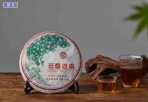 文元普洱茶：云南普洱文元茶业出品，精选多款优质茶饼，传承百年制茶技艺，口感醇厚，是您品饮的首选。