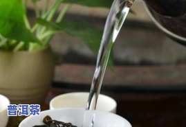 探究小青柑普洱茶的茶汤颜色及其影响因素