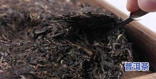 普洱茶100一斤贵吗-普洱茶100一斤贵吗多少钱