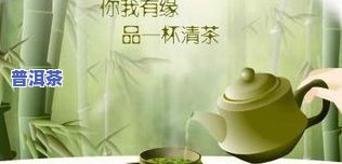 普洱茶就是个骗局？真相揭秘