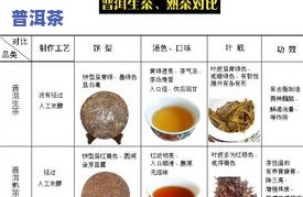 普洱茶所有名字大盘点：详细名称及图片一览