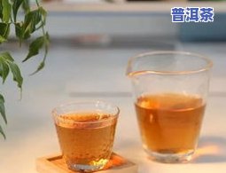 普洱茶能否与桔子一起存放？百科解析原因及建议