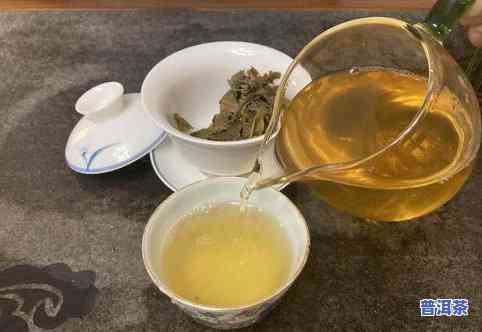 普洱是什么茶类型？详解其特点与分类