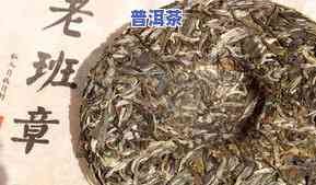 20年冰岛普洱茶价格及口感解析，一斤多少钱？