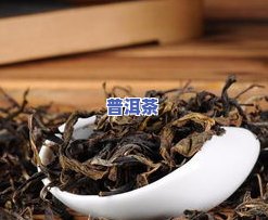 20年冰岛普洱茶价格及口感解析，一斤多少钱？