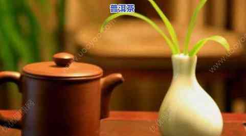 运动过后喝茶叶茶好吗？探讨其对女生、减肥的作用及适宜人群