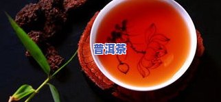 普洱茶为什么叫普洱茶？探究其命名由来与含义