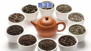 茶叶s现在还能用吗-茶叶s现在还能用吗有吗