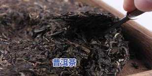 二十年冰岛普洱茶多少钱-20年的冰岛普洱茶一斤多少钱