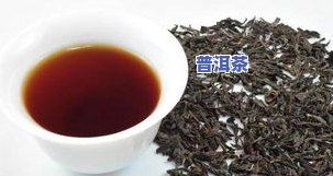 永德雄峰普洱茶价格表查询：最新官网信息与云南永德茶业产品一览