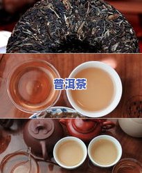 普洱茶贡山-云南贡山普洱茶