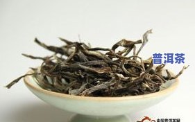 76年普洱茶价格是多少？一斤要多少钱？