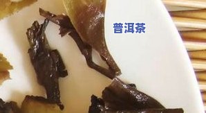 普洱茶注水-普洱茶注水有讲究