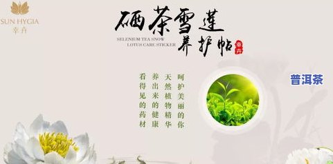 送茶叶给老师怎么客套：如何优雅表达感谢之情？