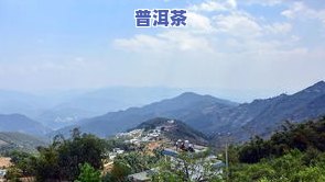 普洱茶八大名山-普洱茶八大名山名寨