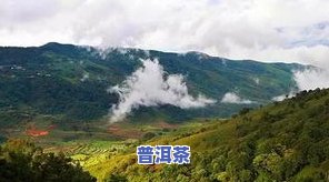 普洱茶八大名山-普洱茶八大名山名寨