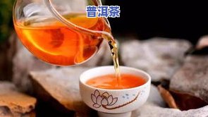 普洱茶泡茶的正确方法：水温、比例与温度全解