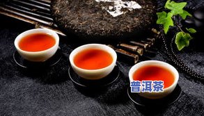 喝普洱茶泡茶流程图解说-喝普洱茶泡茶流程图解说明