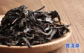 曼松普洱茶：全国排名及所属茶区解析