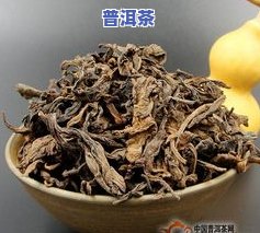 曼松普洱茶：茶区、、山头及特点一览