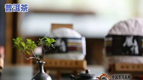 生肖定制普洱茶-生肖定制普洱茶怎么样